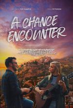 Watch A Chance Encounter Movie2k