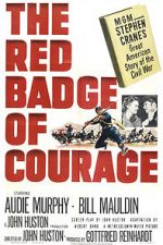 Watch The Red Badge of Courage Movie2k