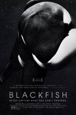 Watch Blackfish Movie2k