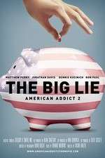 Watch American Addict 2 The Big Lie Movie2k