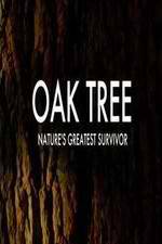 Watch Oak Tree Natures Greatest Survivor Movie2k