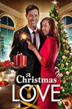 Watch A Christmas Love Movie2k