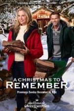 Watch A Christmas to Remember Movie2k