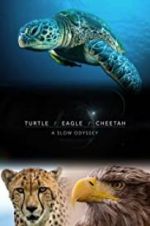 Watch Turtle, Eagle, Cheetah: A Slow Odyssey Movie2k