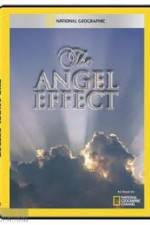 Watch National Geographic Explorer - The Angel Effect Movie2k