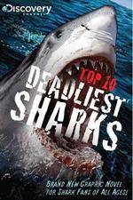 Watch National Geographic Worlds Deadliest Sharks Movie2k