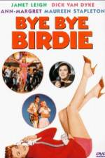 Watch Bye Bye Birdie Movie2k