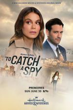 Watch To Catch a Spy Movie2k