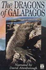 Watch The Dragons of Galapagos Movie2k