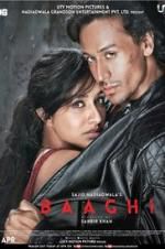 Watch Baaghi Movie2k