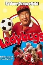 Watch Ladybugs Movie2k