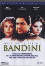 Watch Wait Until Spring, Bandini Movie2k