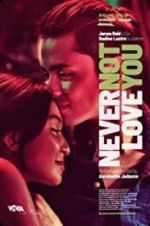 Watch Never Not Love You Movie2k