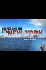 Watch Sharks and the City: New York Movie2k