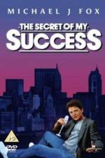 Watch The Secret of My Succe$s Movie2k