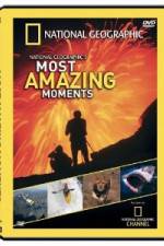 Watch National Geographic's Most Amazing Moments Movie2k