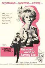 Watch The Small World of Sammy Lee Movie2k