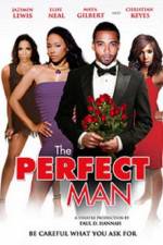 Watch The Perfect Man Movie2k