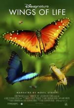 Watch Disneynature: Wings of Life Movie2k