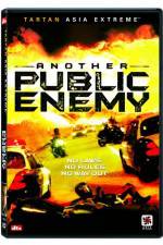 Watch Another Public Enemy Movie2k