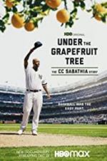 Watch Under the Grapefruit Tree: The CC Sabathia Story Movie2k