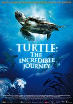 Watch Turtle: The Incredible Journey Movie2k