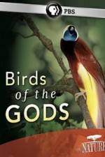 Watch Birds Of The Gods Movie2k