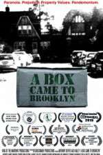 Watch A Box Came to Brooklyn Movie2k