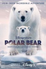 Watch Polar Bear Movie2k
