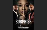 Watch Surprise Movie2k