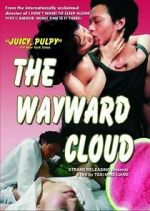 Watch The Wayward Cloud Movie2k