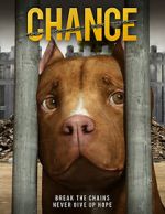 Watch Chance Movie2k