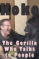 Watch Koko: The Gorilla Who Talks to People Movie2k