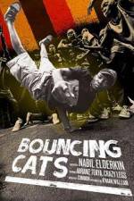 Watch Bouncing Cats Movie2k