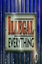 Watch Illegal Everything 2012 Movie2k