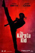 Watch The Karate Kid Movie2k