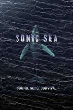 Watch Sonic Sea Movie2k