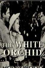 Watch The White Orchid Movie2k