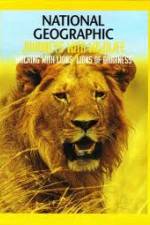 Watch National Geographic:  Walking with Lions Movie2k