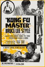 Watch Kung Fu Master - Bruce Lee Style Movie2k