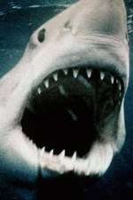 Watch Sharkmania: The Top 15 Biggest Baddest Bloodiest Bites Movie2k