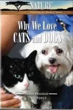 Watch Why We Love Cats And Dogs Movie2k