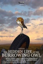 Watch The Hidden Life of the Burrowing Owl (Short 2008) Movie2k