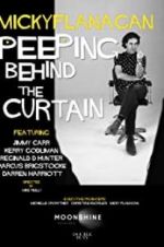 Watch Micky Flanagan: Peeping Behind the Curtain Movie2k