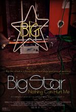 Watch Big Star: Nothing Can Hurt Me Movie2k