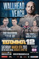 Watch BAMMA 12: Wallhead vs Veach Movie2k