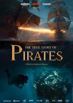 Watch The True Story of Pirates Movie2k