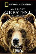 Watch America's Greatest Animals Movie2k
