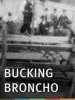 Watch Bucking Broncho Movie2k