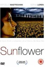 Watch Sunflower Movie2k